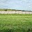 2024-mixed-grass-hay-round-bales-(bid-per-unit)-image-14