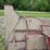 new-holland-28-image-14