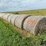 2024-mixed-grass-hay-round-bales-(bid-per-unit)-image-3