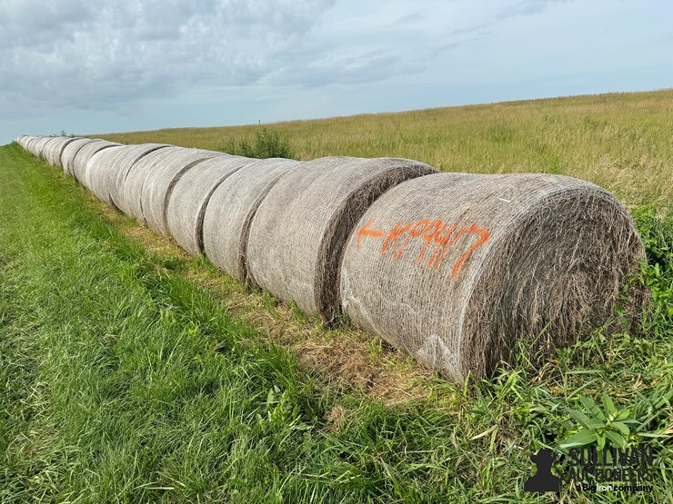 2024-mixed-grass-hay-round-bales-(bid-per-unit)-image-3