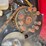 2010-case-ih-2010-image-57