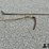 antique-spoon-&-scythe-hand-tools-image-8