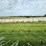 2024-mixed-grass-hay-round-bales-(bid-per-unit)-image-10