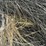 2024-mixed-grass-hay-round-bales-(bid-per-unit)-image-7
