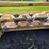 corn-head-image-12
