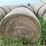 2024-mixed-grass-hay-round-bales-(bid-per-unit)-image-2