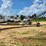 adams-fl24-image-4