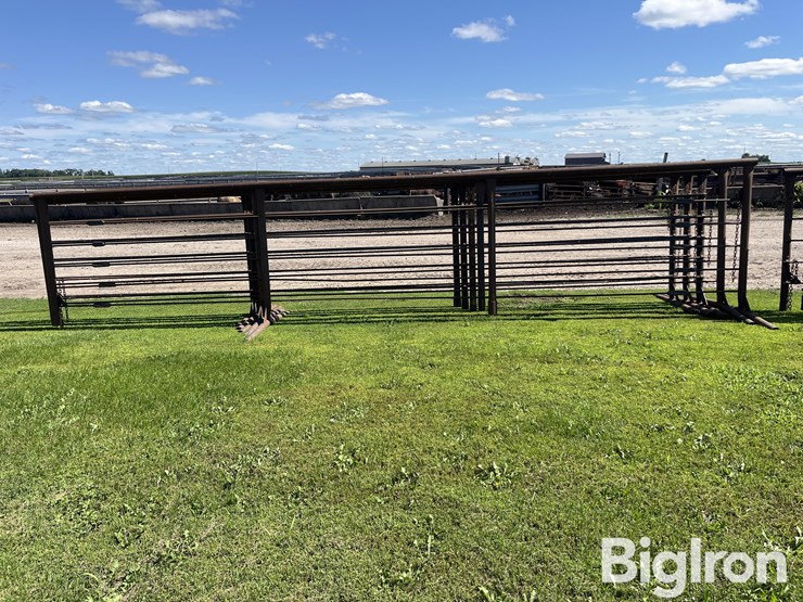 feedlot-panels-image-6