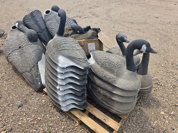 large-lot-of-full-body-standard-shells-and-floating-shells,-approx-30-total,-buying-all-for-one-mone-image-7