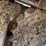 caterpillar-320fl-image-8