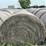 2024-mixed-grass-hay-round-bales-(bid-per-unit)-image-5