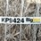 2024-mixed-grass-hay-round-bales-(bid-per-unit)-image-10