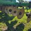 2016-john-deere-18-image-66