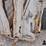 portable-cattle-chute-image-10