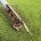 hutchinson-8x53-image-3