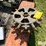 planter-spike-closing-wheels-image-4