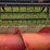 case-ih-1020-image-23