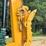 2021-caterpillar-305.5-image-7