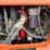 2016-jlg-8042-image-10