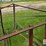 300-gallon-fuel-tank-&-stand-image-15