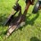 international-770-image-9