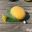 john-deere-itc-receiver-image-4