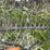 #8590-•-(4)-gardening-tools-image-7