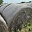 2024-mixed-grass-hay-round-bales-(bid-per-unit)-image-4