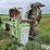 claas-ru600-xtra-image-5