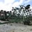 john-deere-960-image-1