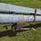 hutchinson-8x57-image-11