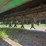 john-deere-115-image-19