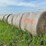 2024-mixed-grass-hay-round-bales-(bid-per-unit)-image-3