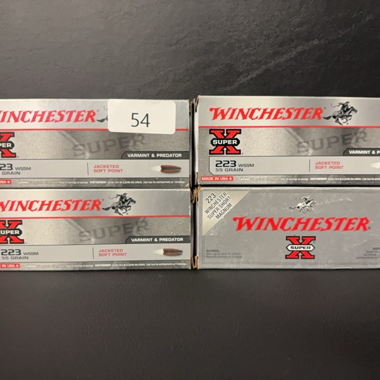 223 WSSM (Ammo)