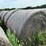 2024-mixed-grass-hay-round-bales-(bid-per-unit)-image-5
