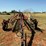hesston-3983-image-8