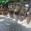 john-deere-630-image-6