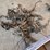 misc-gopher-traps-image-5
