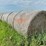 2024-mixed-grass-hay-round-bales-(bid-per-unit)-image-3