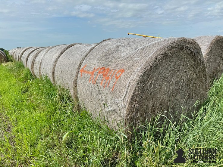 2024-mixed-grass-hay-round-bales-(bid-per-unit)-image-3
