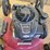 murray-5hp-push-mower,-has-not-ran-in-approx-20-years-image-5