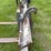 volvo-mount-payloader-pallet-forks-image-12