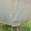 (2)-lowry-30-ton-bulk-bins,-loading-is-available-image-11