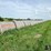 2024-mixed-grass-hay-round-bales-(bid-per-unit)-image-17
