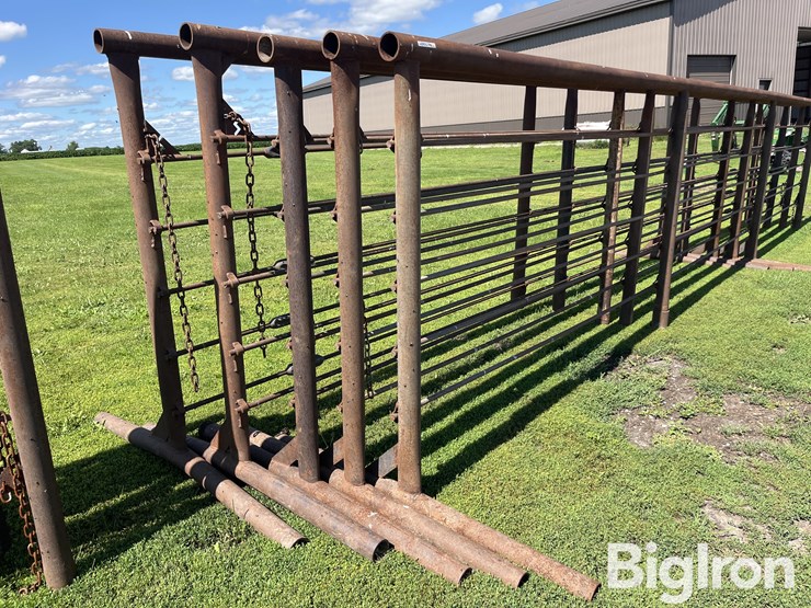 feedlot-panels-image-4