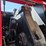 2010-case-ih-2010-image-64