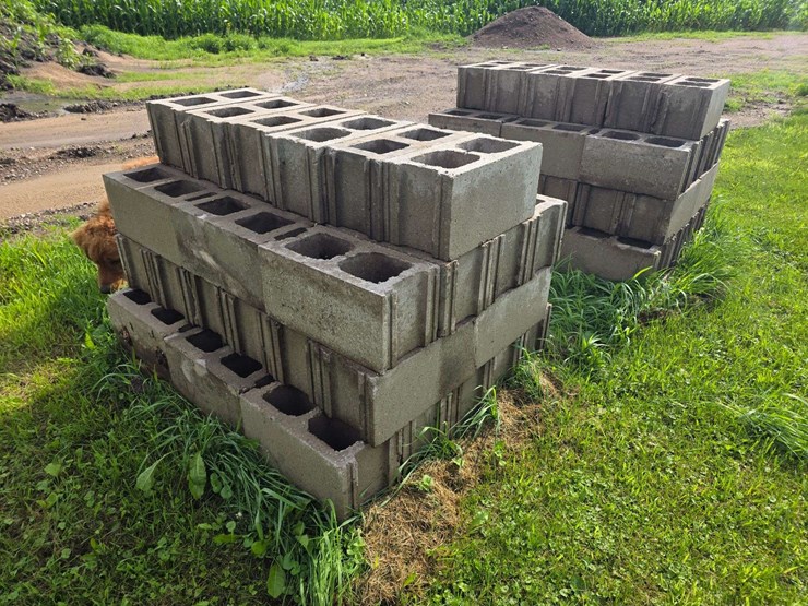 (2)-pallets-of-cinder-blocks,-buying-all-for-one-money-image-1