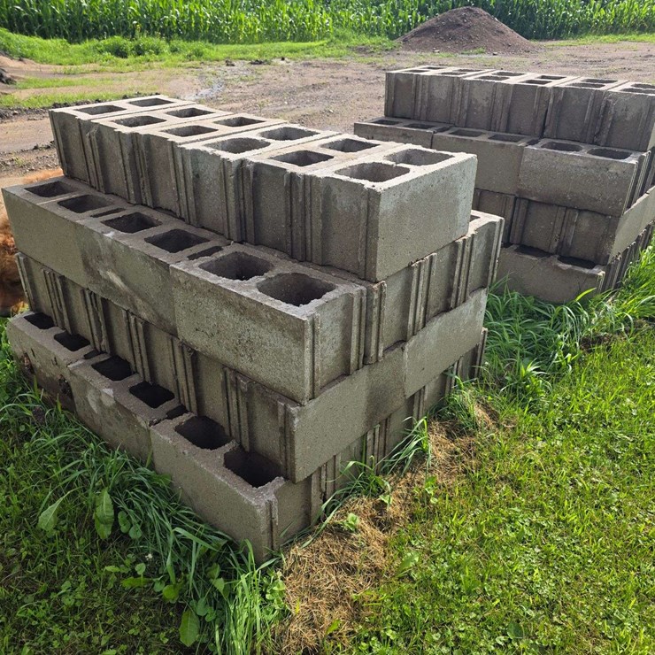 (2) Pallets of Cinder Blocks, Buying All for One Money