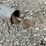 4”-pencil-auger-image-9