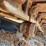 2022-takeuchi-tb2150-image-27
